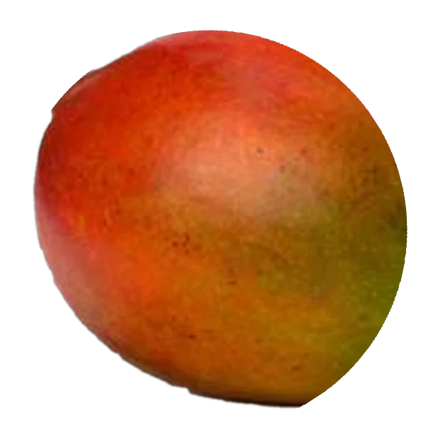 JulieMango logo